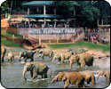 Hotel Elephant Park Kandy
