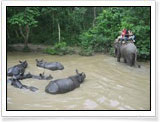 Chitwan National Park - Nepal