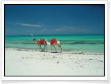 Djerba - Tunisia