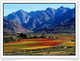 Franschhoek - South Africa