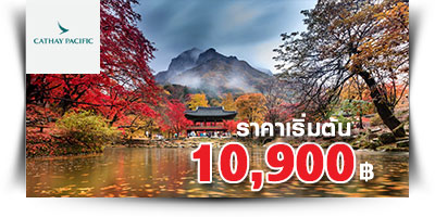 ตั๋วเครื่องบินราคาถูก กรุงเทพ - สิงคโปร์ 