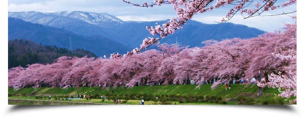 Responsive image