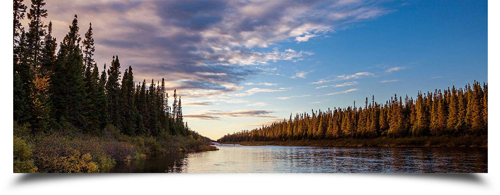 Responsive image