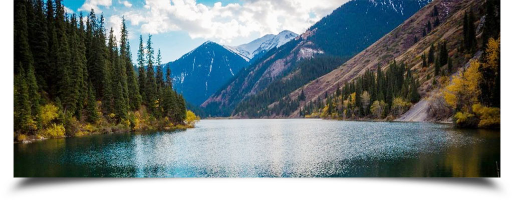 Responsive image